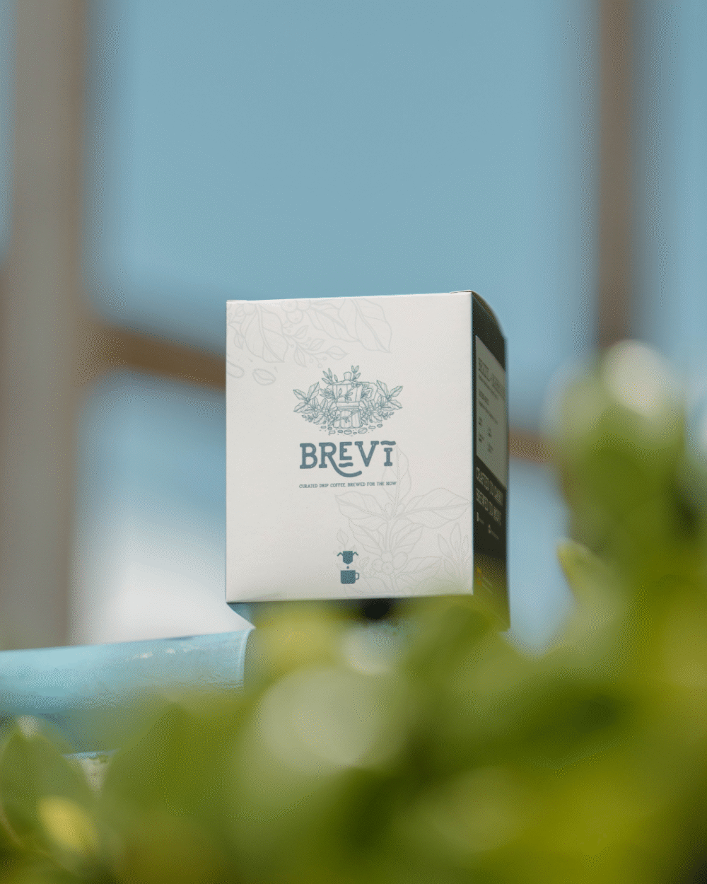 Brevi Day Dripper - Brazil Santa Cruz