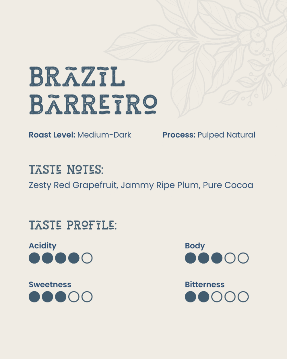 Brevi Day Dripper - Brazil Barreiro - Image 2