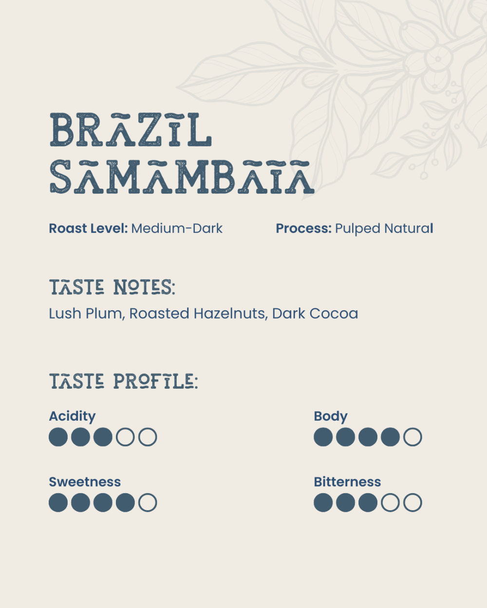 Brevi Day Dripper - Brazil Samambaia - Image 3