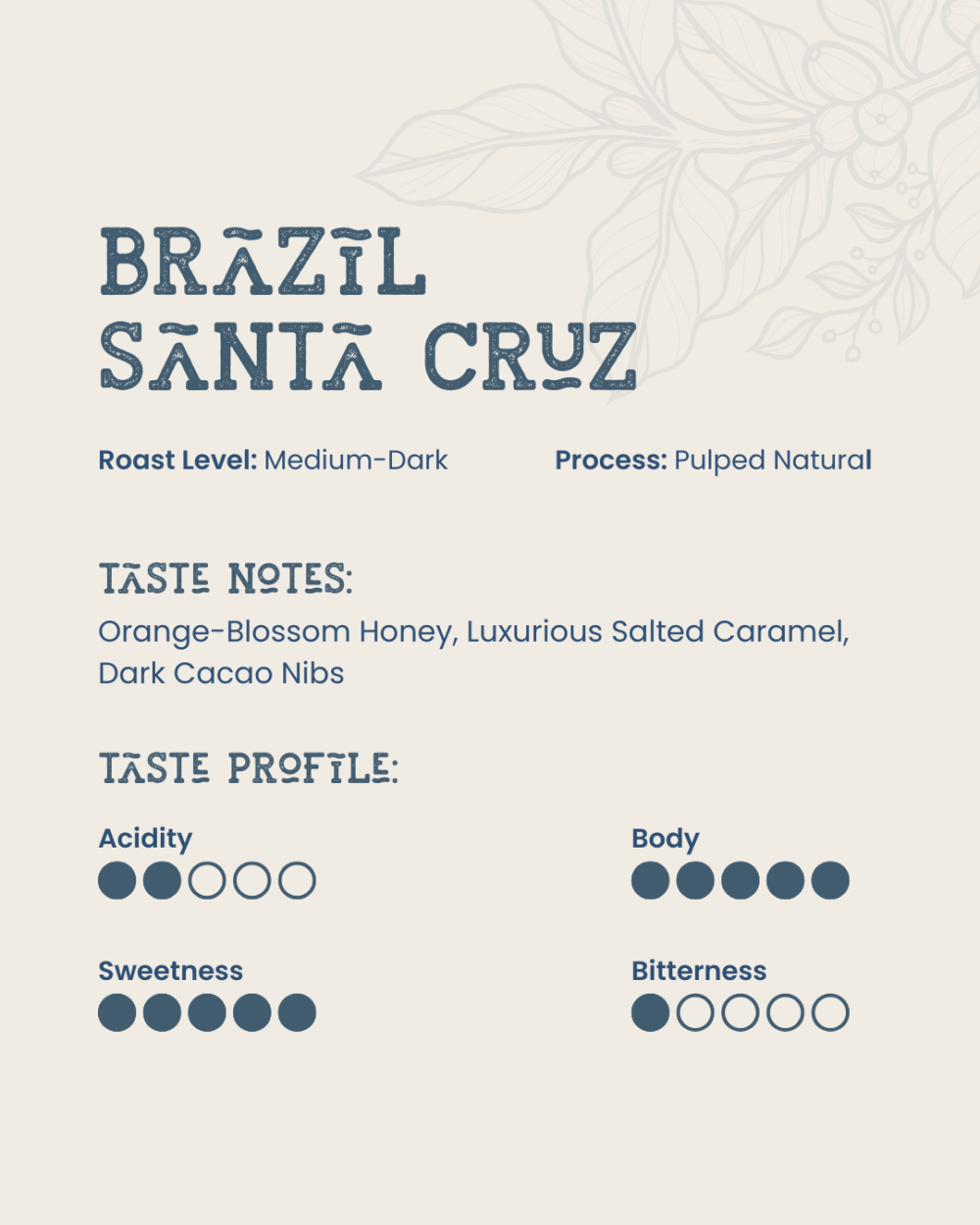 Brevi Day Dripper - Brazil Santa Cruz - Image 2